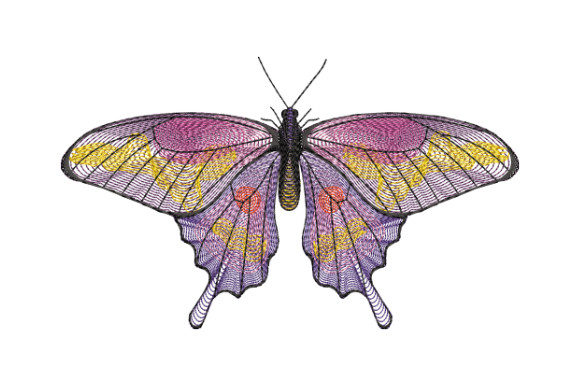 Purple Butterfly with Yellow Spots